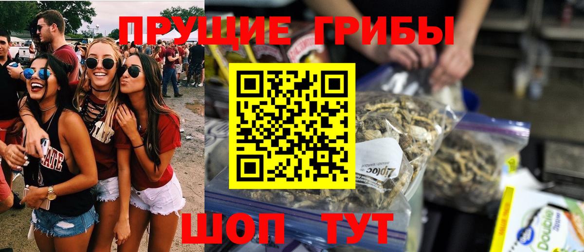 Галлюциногенные грибы Psilocybe Урюпинск