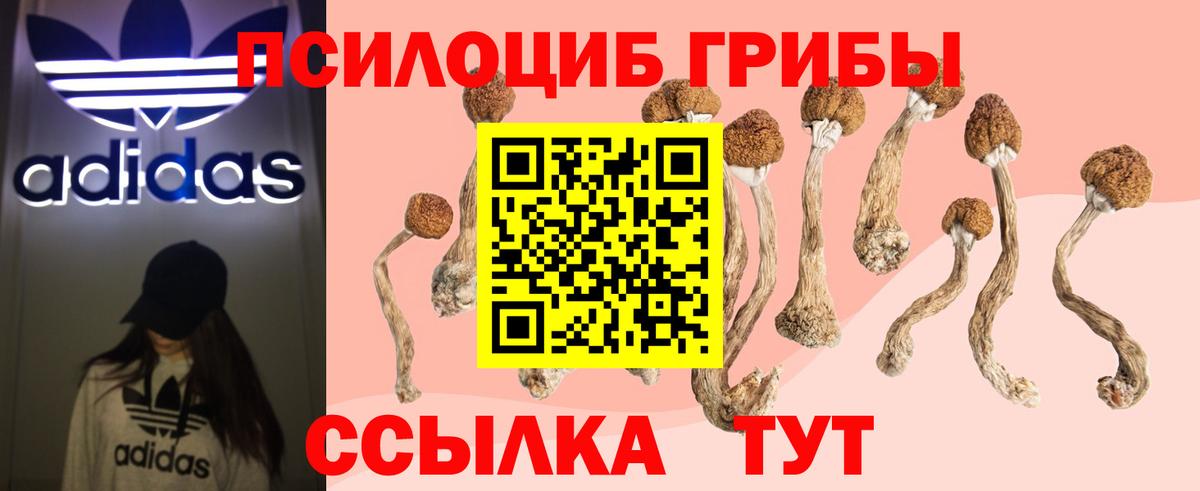 Галлюциногенные грибы мухоморы  Вход с VPN  продажа наркотиков  Урюпинск 